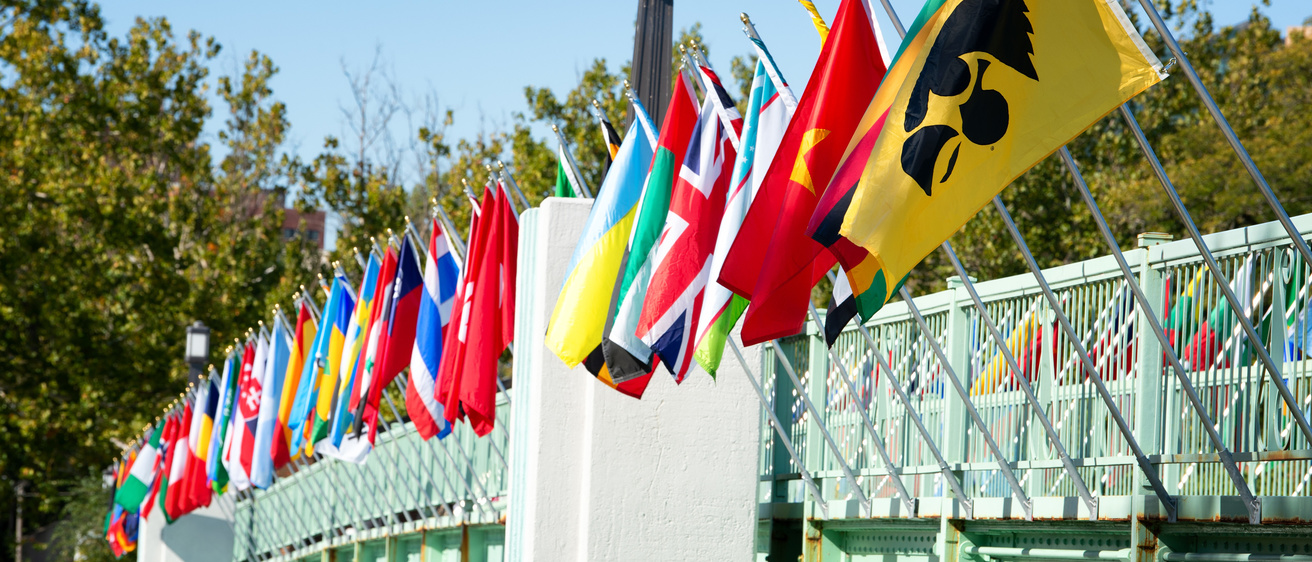 IMU Bridge Flags